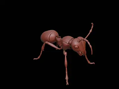 Ant Animal Sculpture 3D print model