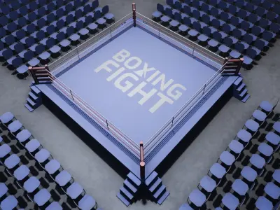 VR Boxing Ring Low-poly 3D model