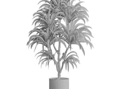 Indoor plant 16 3D model