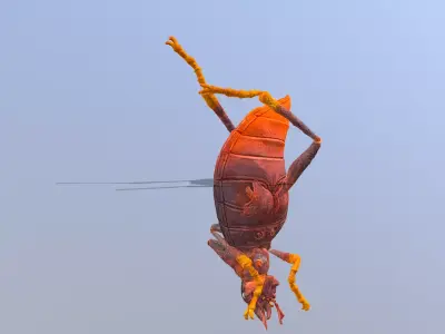 BEETLE Bug Teleport Fbx Png 3D model