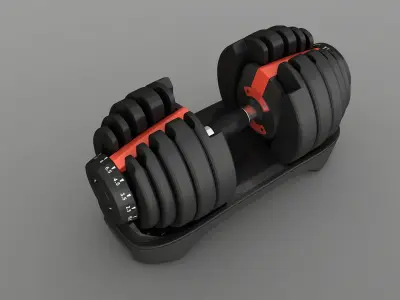 Adjustable Dumbbells Low-poly 3D model