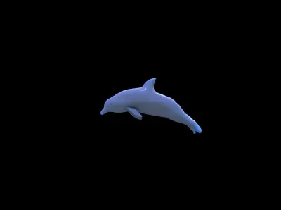 Dolphin Jumping 3D model