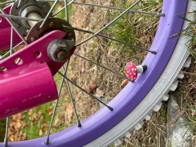 Mushroom Schrader Valve Cap 3D print model