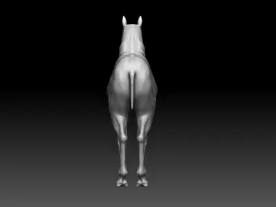 Horse Realistic Zbrush 3D model base mesh 3D model