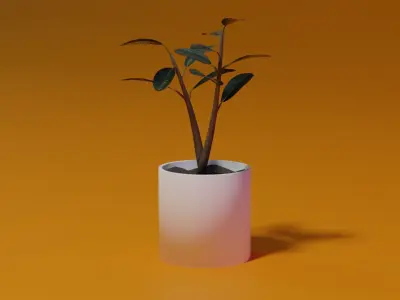 Ficus Burgundy Rubber Tree PBR Ready for Unreal Engine 5 Low-poly 3D model