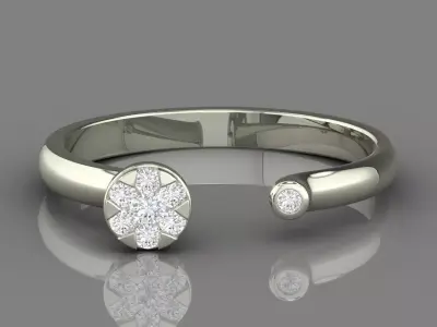 PRESSURE SETTING RING 08 3D print model