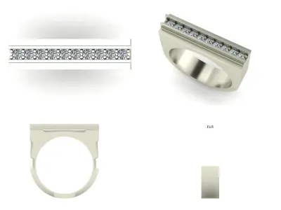 Ring bi 8 3D print model