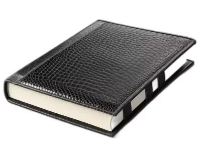 Luxury Crocodile Skin Bound Book Low-poly 3D model
