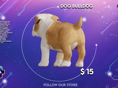 Dog bulldog breed  Low-poly 3D model