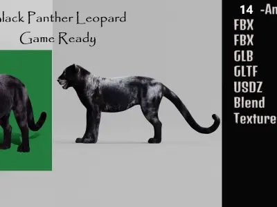 Black Panther Leopard 3D model