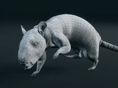 Rat - Realistic 3D model