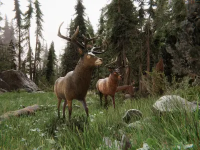 Realistic Deer-Stag Low-poly 3D model