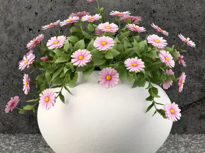 Plants collection 61 3D model