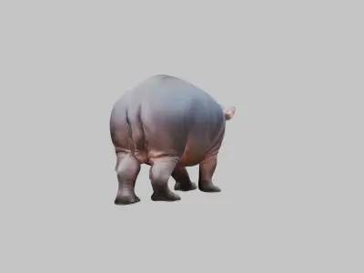 Cute Baby Hippo Roaring 3D Model Low-poly 3D model