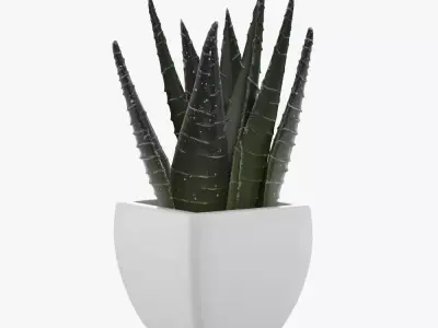 Flower in pot 3D model