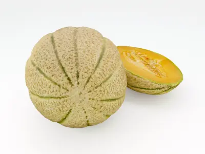 Melons  3D model
