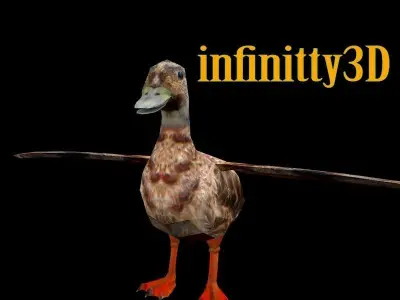 Duck 3D Low-poly 3D model purchase