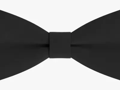 Bow tie 01 3D model