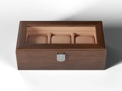 Luxury Watch Box 3D model