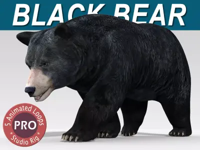 Black Bear PRO 3D model