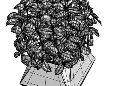 Pots with plants 3D model