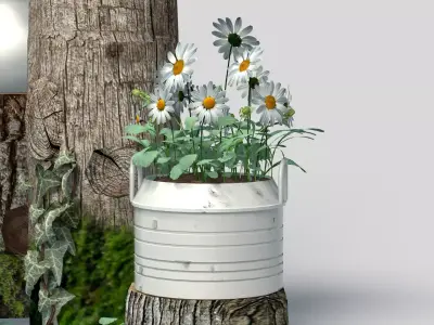 Garden Decor White Daisies 3D model