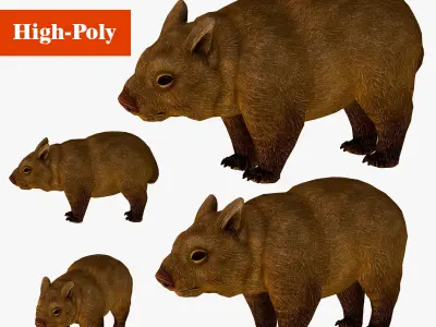 wombat rig  high-poly  textured 3D model