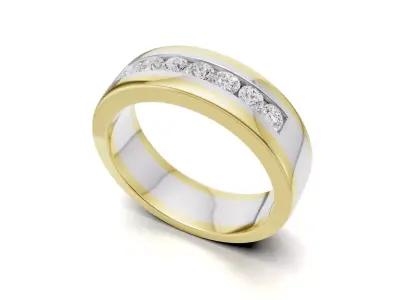 Dual Tone Diamond Wedding Band for Mens 3D print model