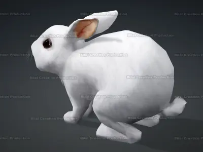 WHITE RABBIT ANIMATED Low-poly 3D model