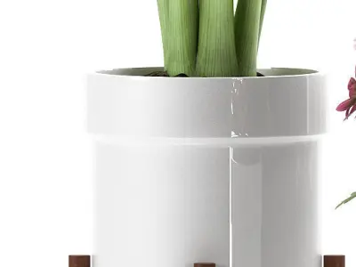 plants stand set 130 3D model