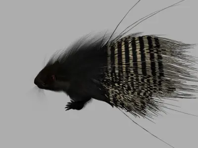 porcupine 3d model fur 3D model