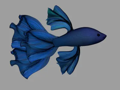3D Fish Model  Cartoon Sea Creatures  3D model