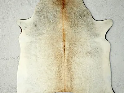 Rugs 4 zebra skin rug 3D model