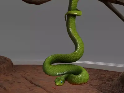 Viper Snake 3D model