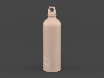 Water Bottle 3D model