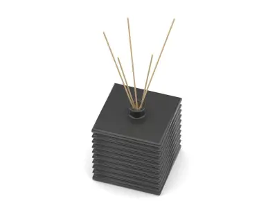 Room fragrance reed diffuser 3D model