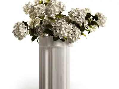 Hydrangea in ripple vase 3D model