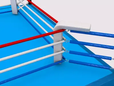 3D Kickboxing Collection 3D model