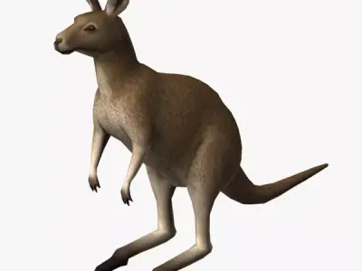 Kangaroo Low-poly 3D model