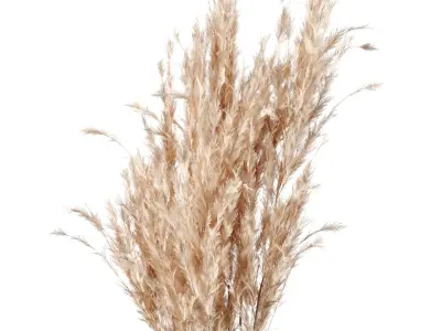Pampas Decoration with Natural basket 3D model