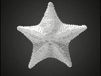 Starfish gold 3D print model
