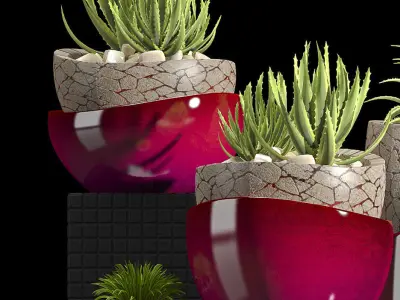 PLANTS SET vases with succulents 3D model