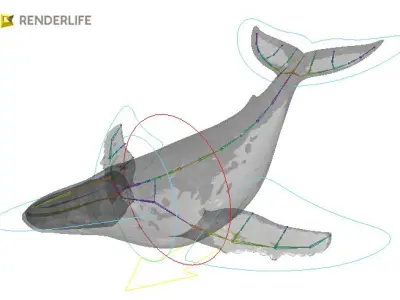 Humpback Whale with animation 3D model