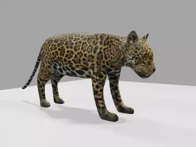 Jaguar - Ounce - Onca Pintada Low-poly 3D model