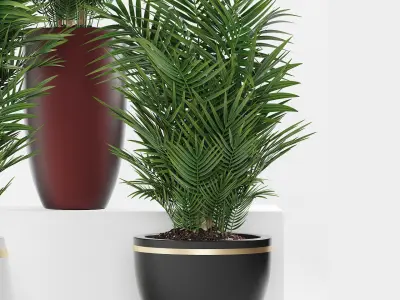 plants 264 3D model