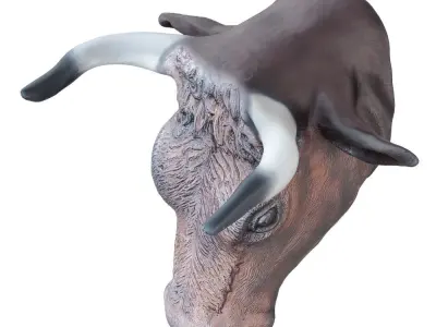 Decorative bull head on the wall 3D model