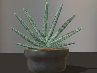 Indoor pot plant 3D model