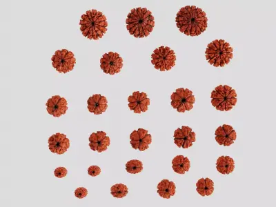 Rudraksha Beads Low-poly 3D model