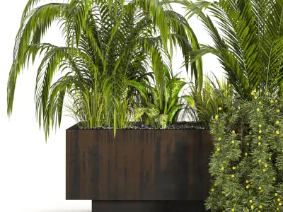 Collaction Indoor plant vol 40 3D model