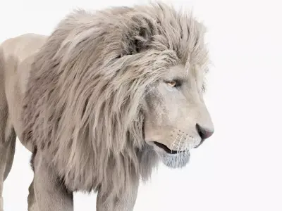 Lion 3D model created in Houdini 3D model